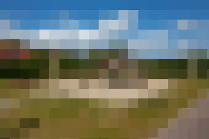 Heereweg 42 50 Midsland thumbnail 24