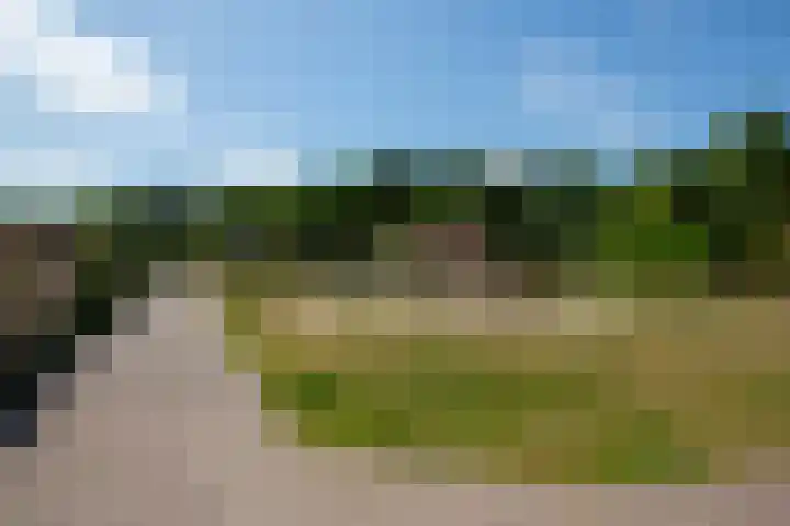 Heereweg 42 50 Midsland thumbnail 25