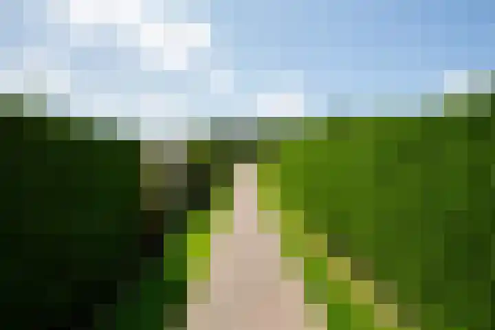 Heereweg 42 50 Midsland thumbnail 26