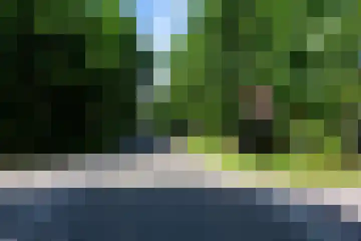 Heereweg 42 50 Midsland thumbnail 27