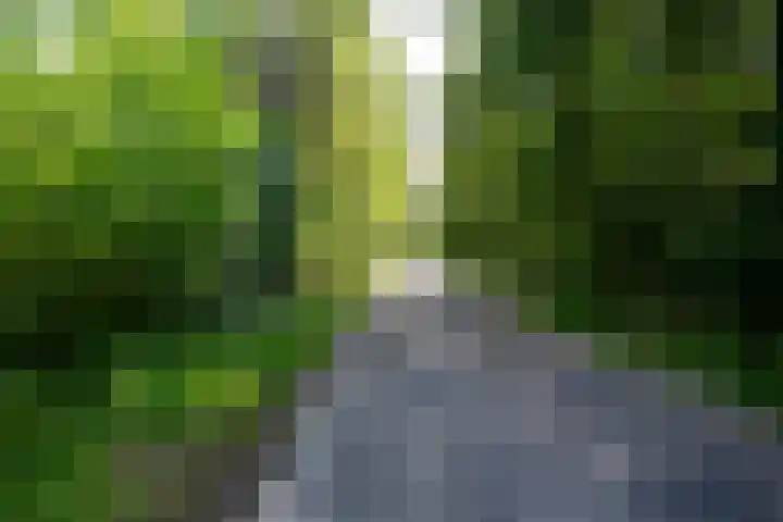Heereweg 42 50 Midsland thumbnail 28