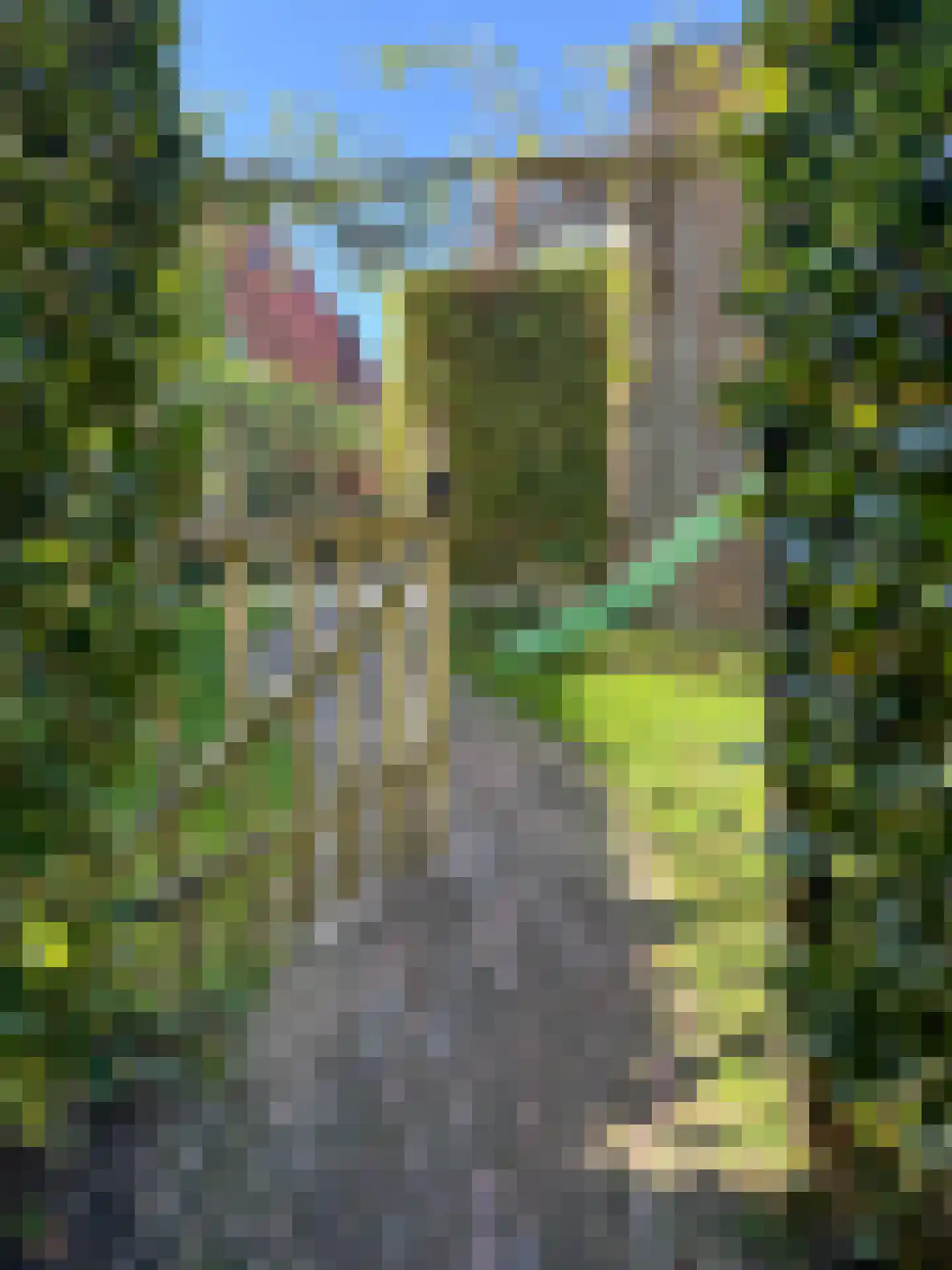 Heereweg 42 Schoorl thumbnail 40