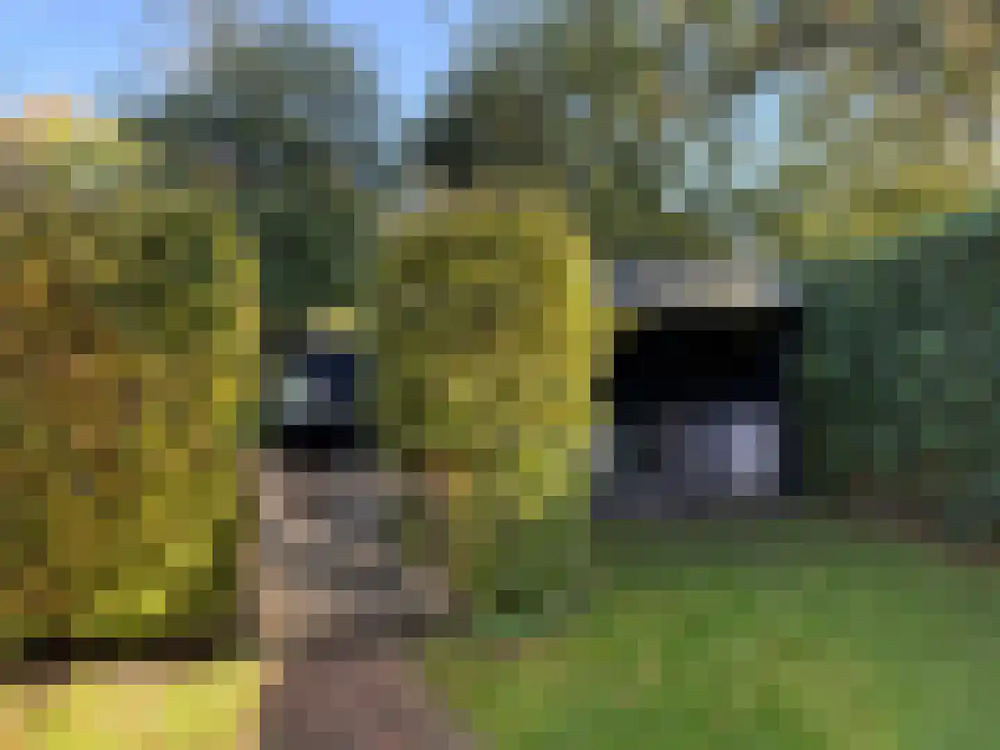 Heereweg 42 Schoorl thumbnail 41