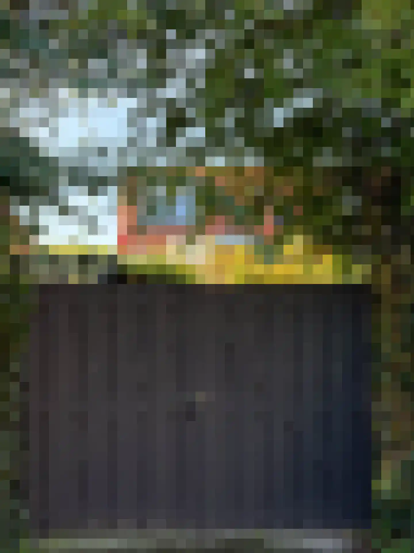 Heereweg 42 Schoorl thumbnail 43