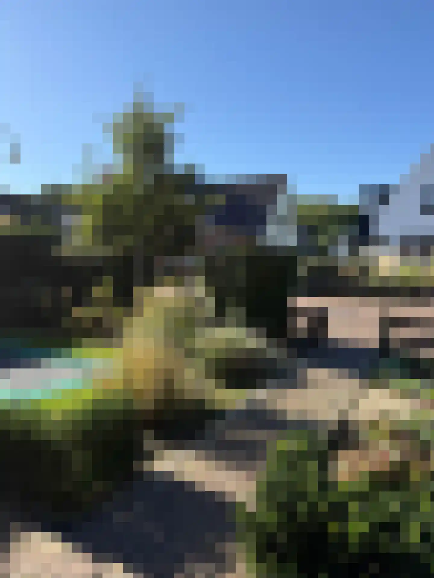 Heereweg 42 Schoorl thumbnail 44