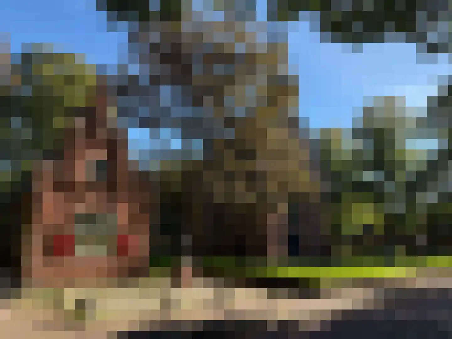Heereweg 42 Schoorl thumbnail 50
