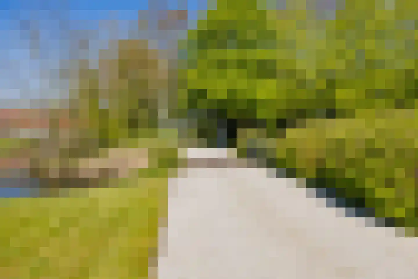 Heereweg 421 A Lisse thumbnail 56