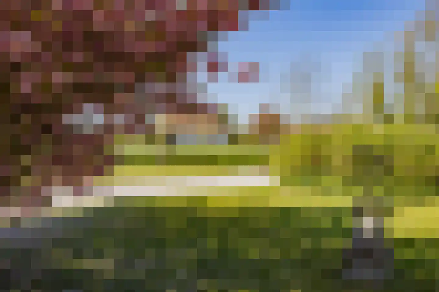 Heereweg 421 A Lisse thumbnail 58