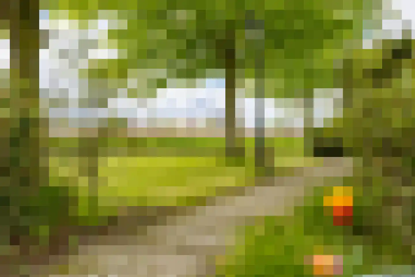 Heereweg 421 A Lisse thumbnail 63
