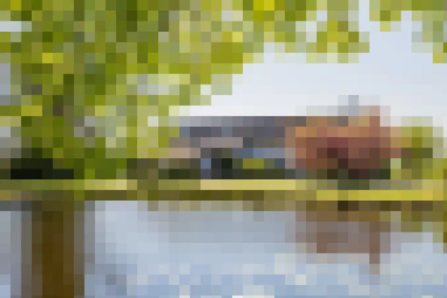 Heereweg 421 A Lisse thumbnail 7