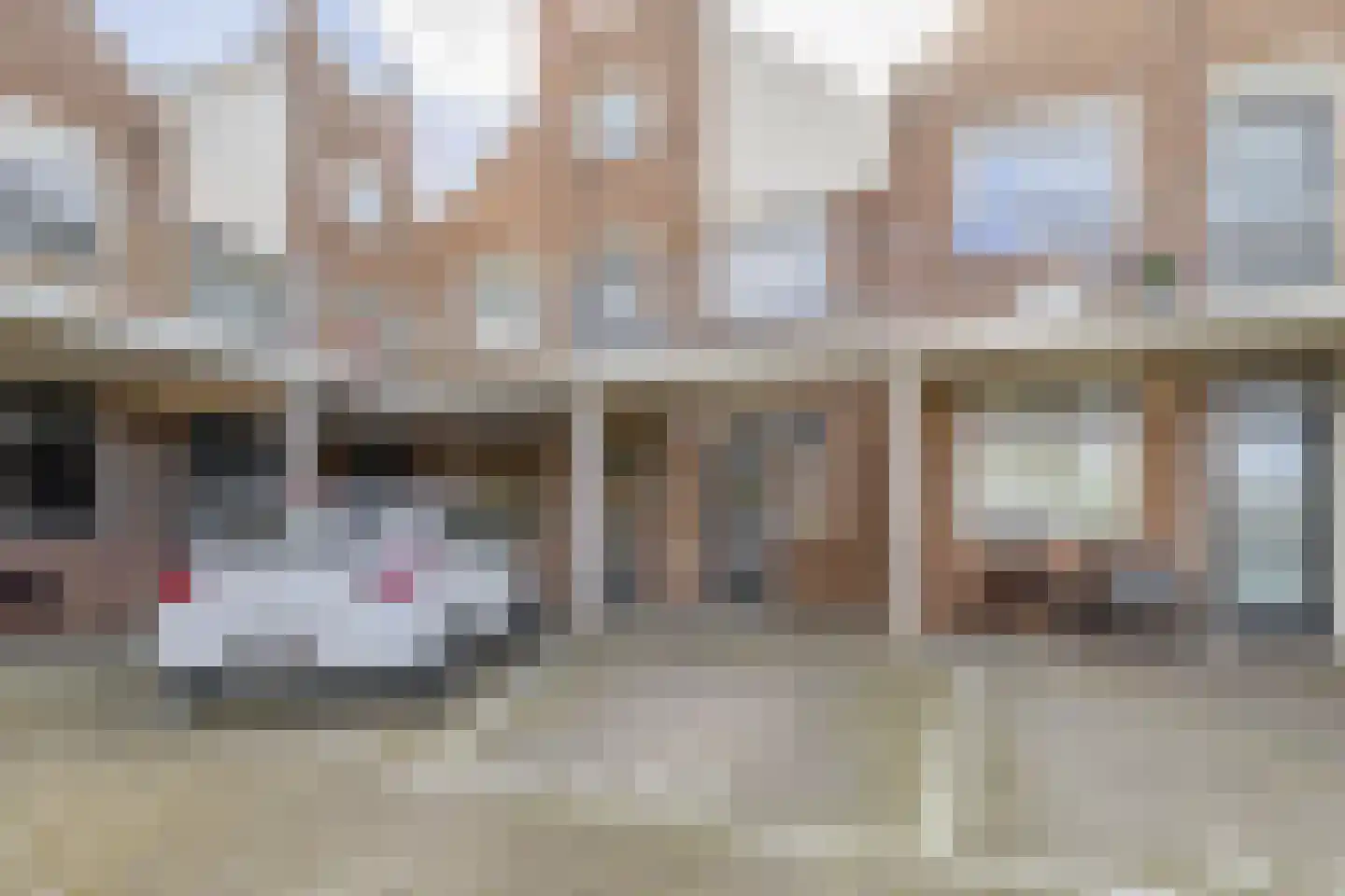 Heereweg 428 Lisse thumbnail 18