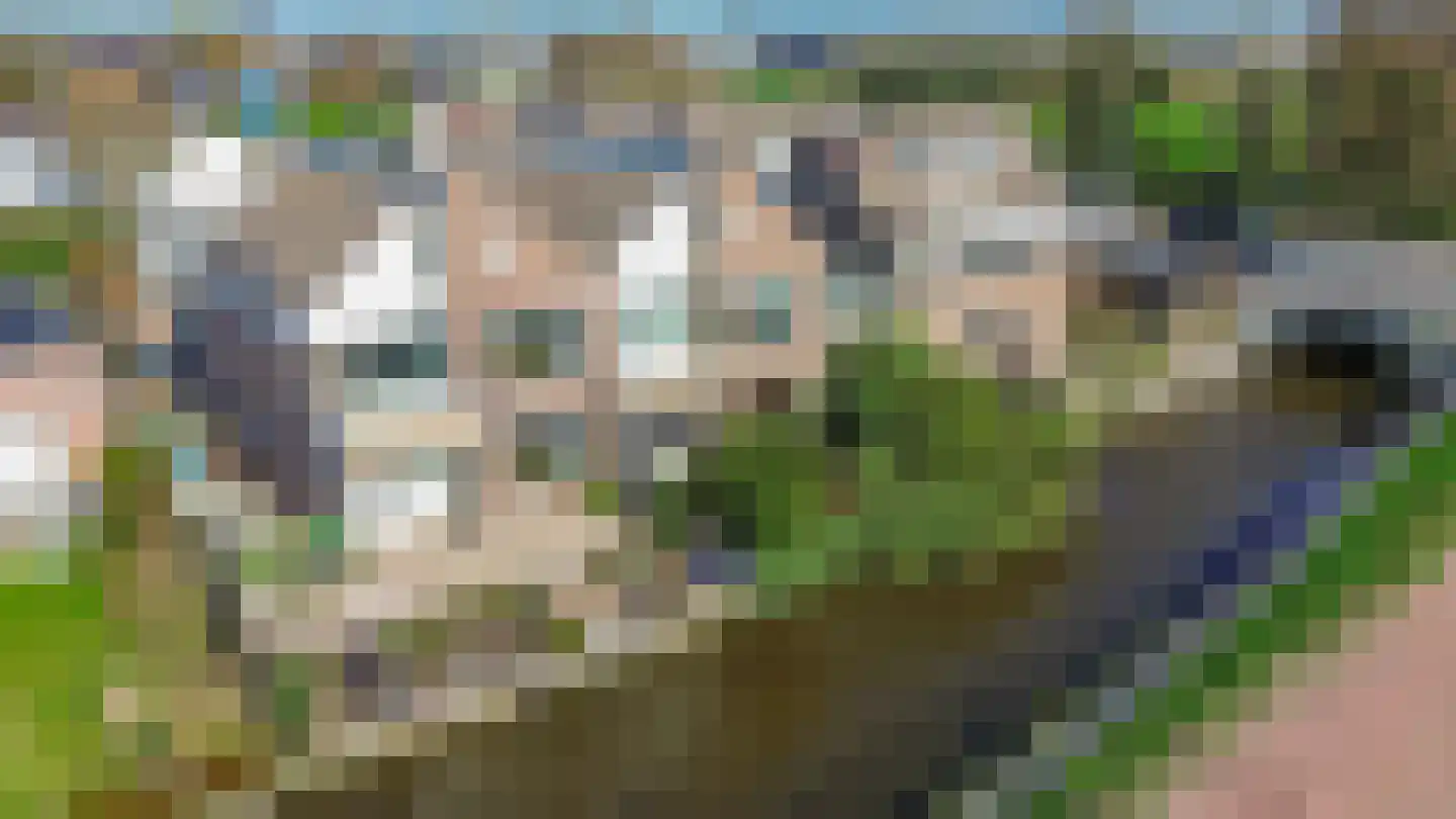 Heereweg 428 Lisse thumbnail 26