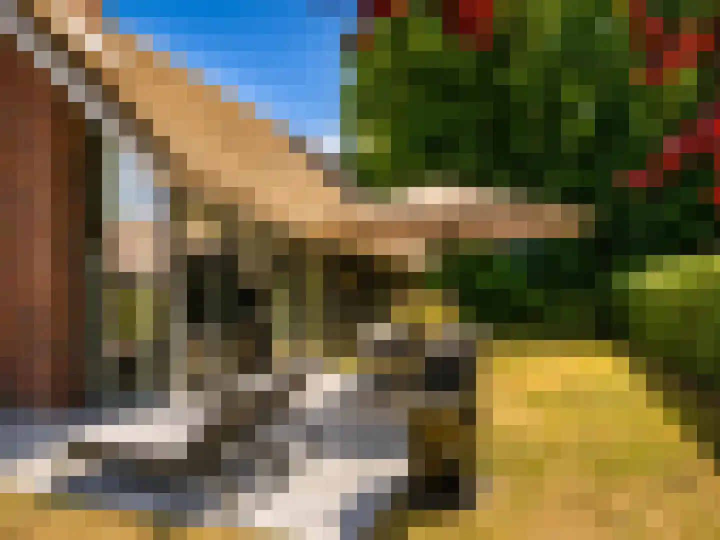 Heereweg 43 a 10 Schoorl thumbnail 24