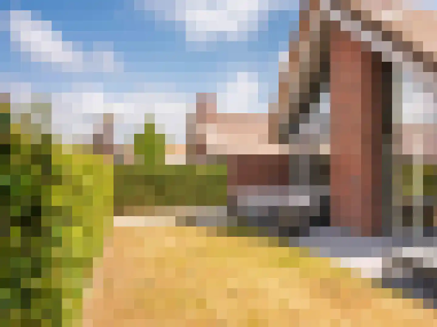 Heereweg 43 a 10 Schoorl thumbnail 25