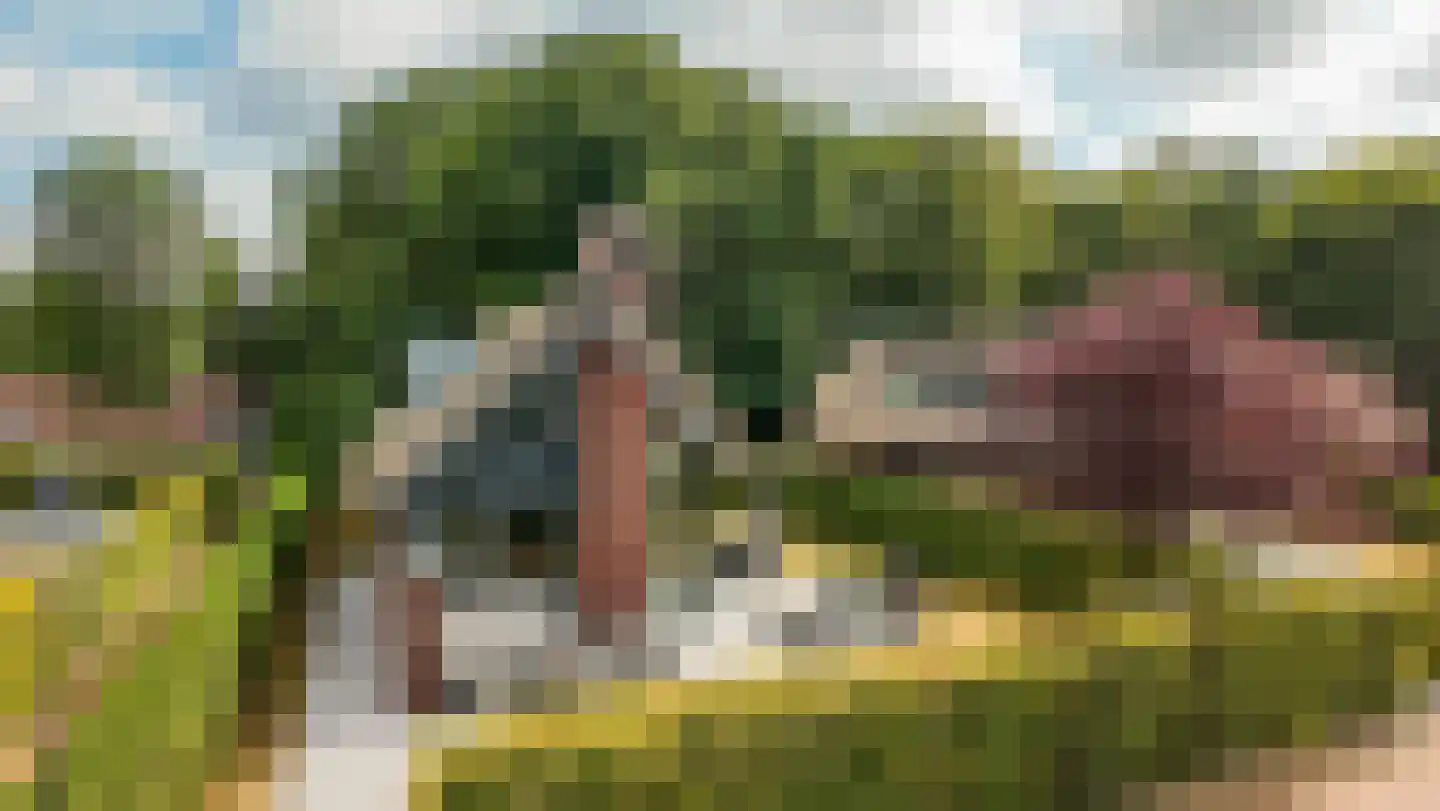 Heereweg 43 a 10 Schoorl thumbnail 30