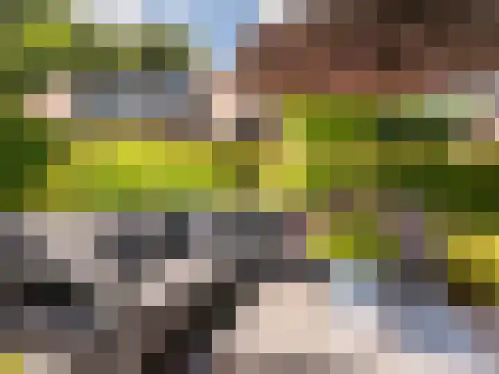 Heereweg 43 a 13 Schoorl thumbnail 23