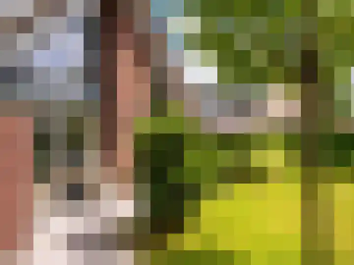 Heereweg 43 a 13 Schoorl thumbnail 29