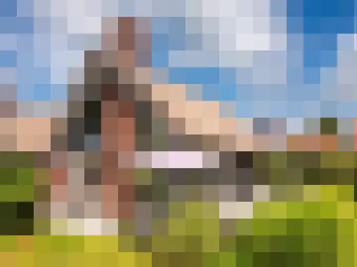 Heereweg 43 a 13 Schoorl thumbnail 31