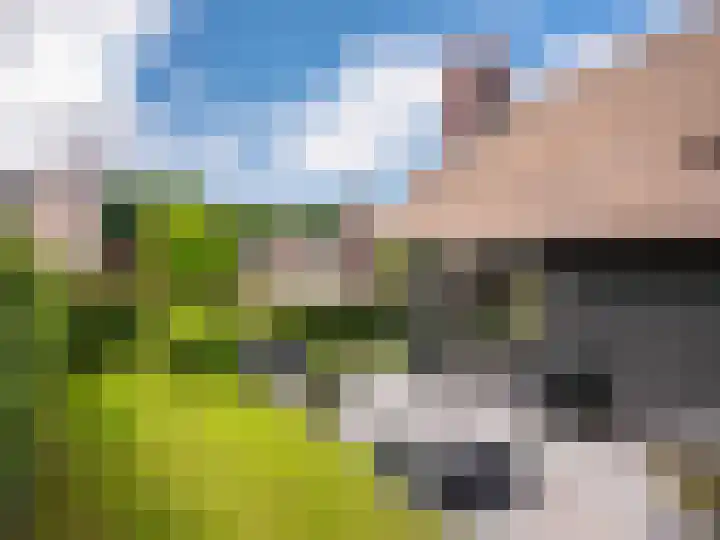 Heereweg 43 a 13 Schoorl thumbnail 32