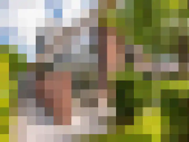 Heereweg 43 a 13 Schoorl thumbnail 33