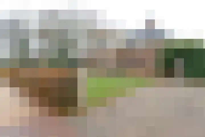 Heereweg 44 Aduard thumbnail 5