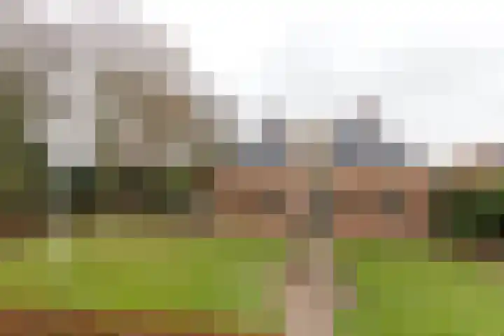 Heereweg 44 Aduard thumbnail 63