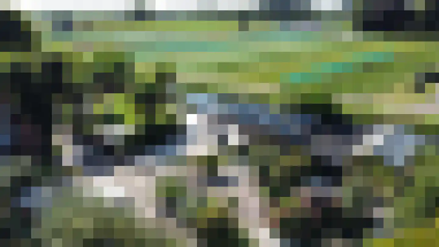 Heereweg 443 A Lisse thumbnail 4