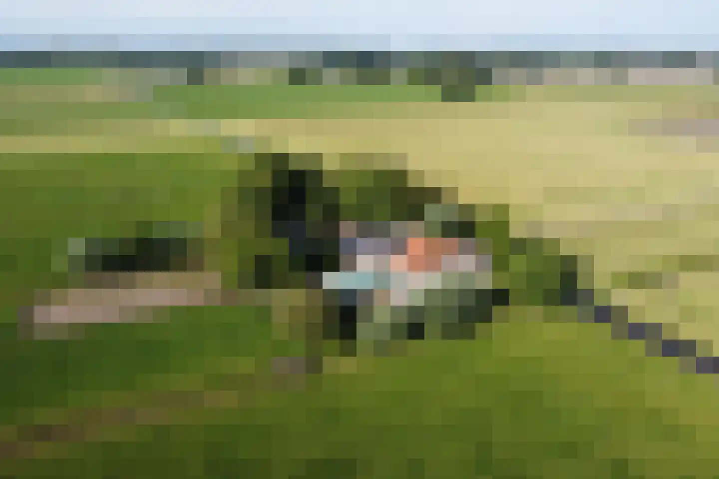 Heereweg 447 Lisse thumbnail 101