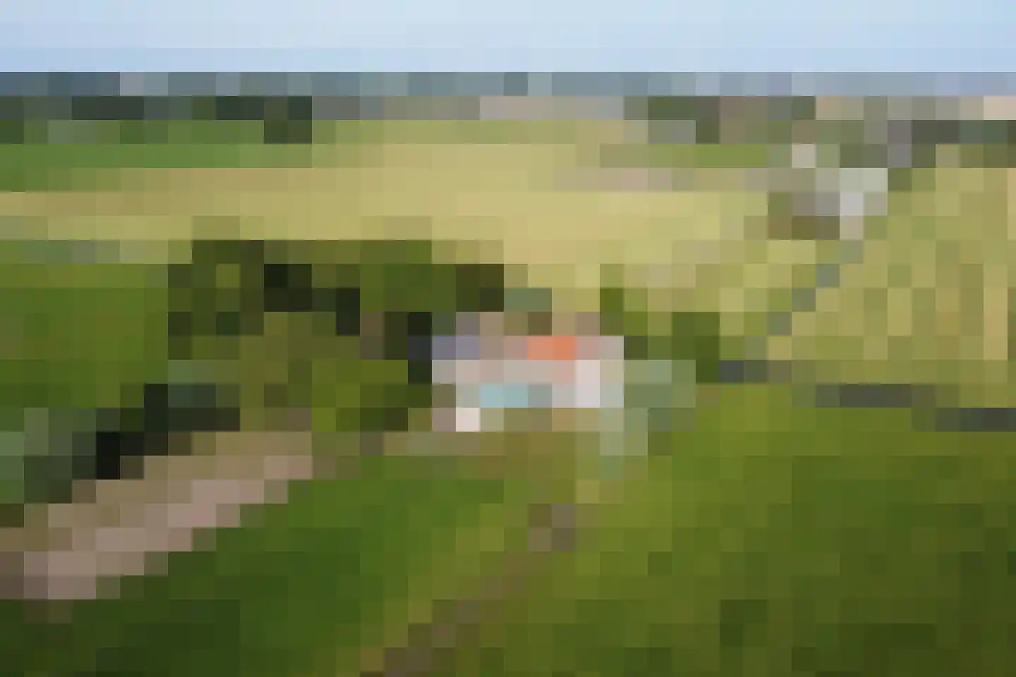 Heereweg 447 Lisse thumbnail 103