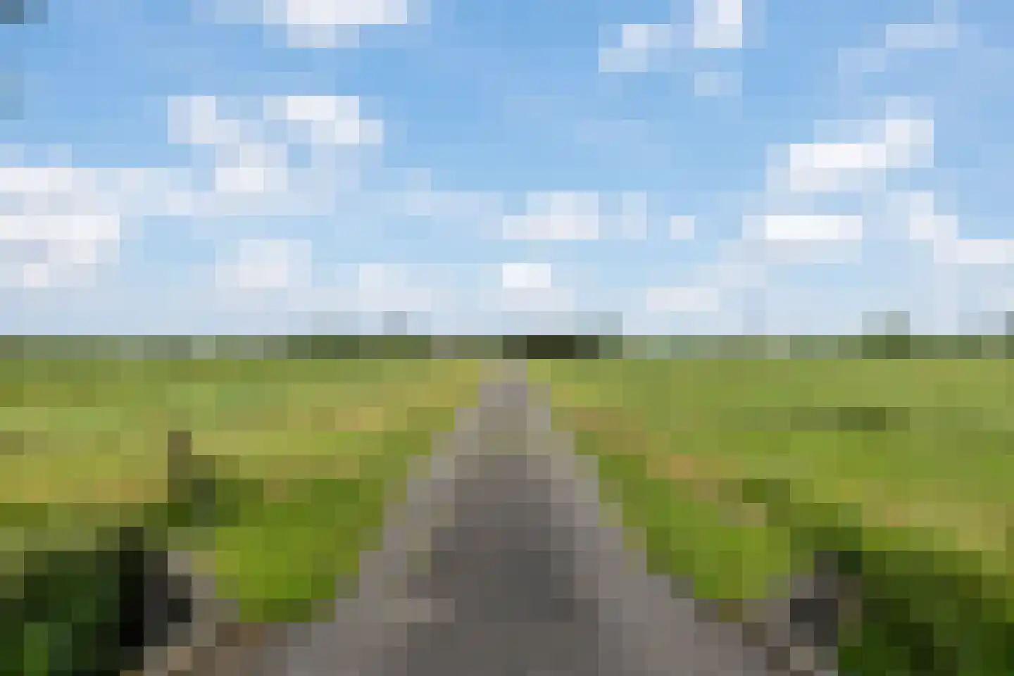 Heereweg 447 Lisse thumbnail 105