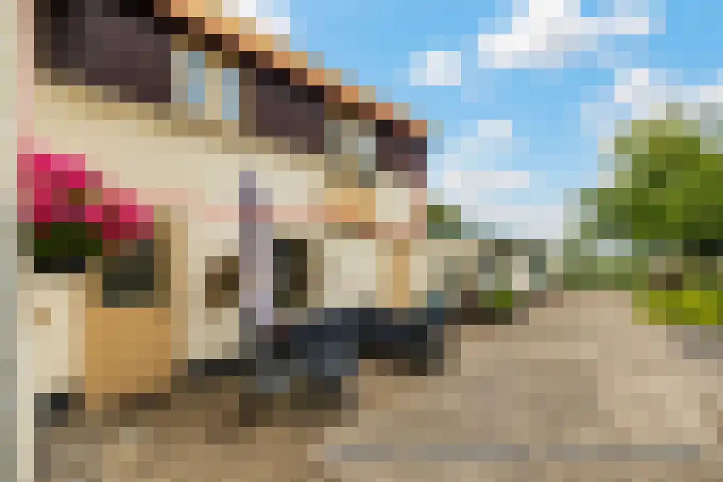 Heereweg 447 Lisse thumbnail 43