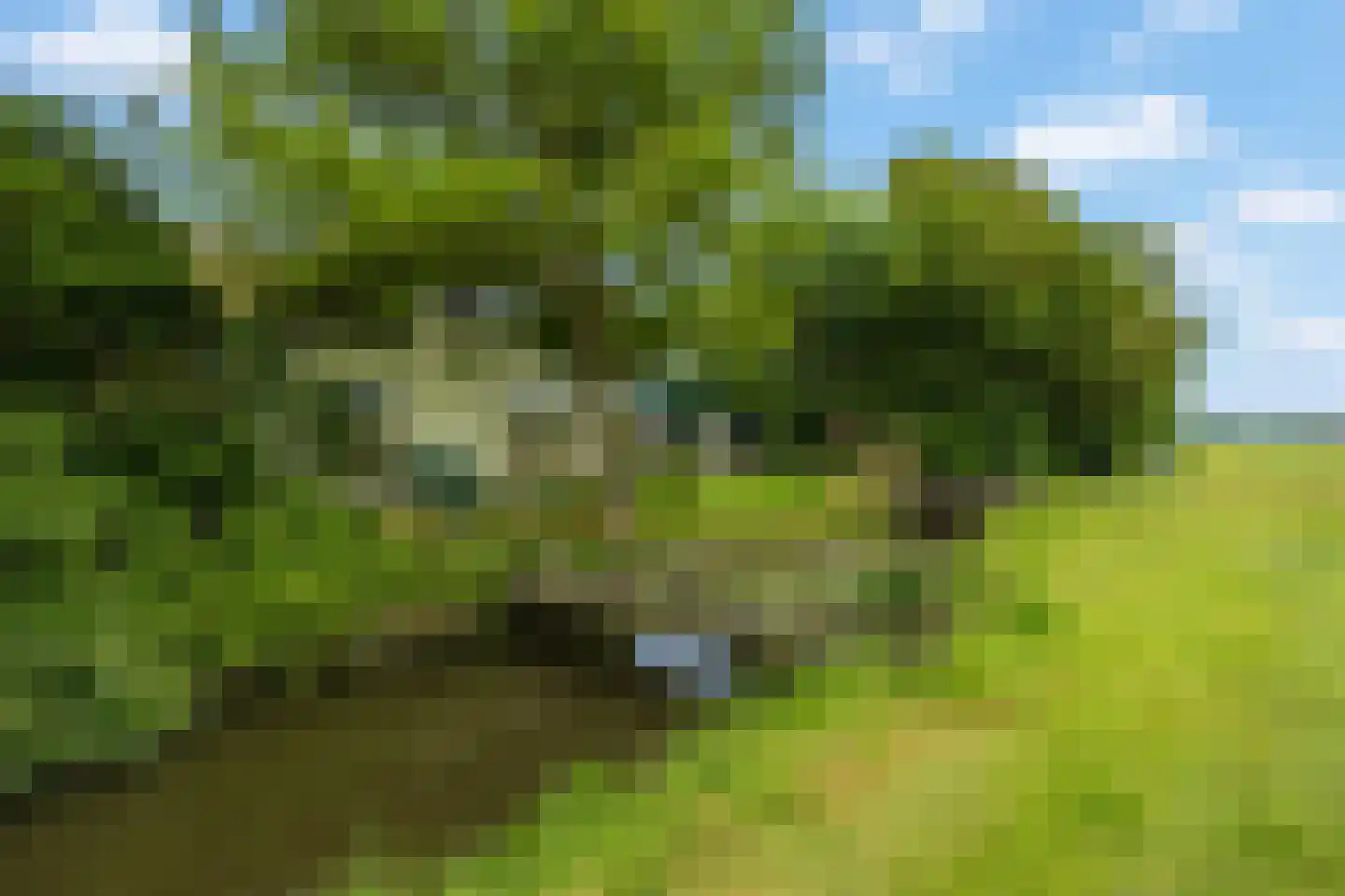 Heereweg 447 Lisse thumbnail 66