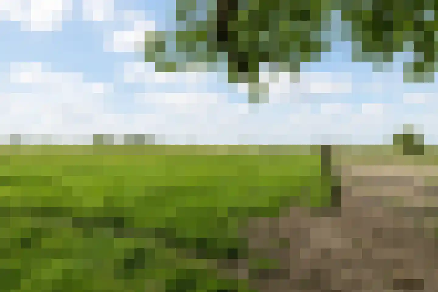 Heereweg 447 Lisse thumbnail 70