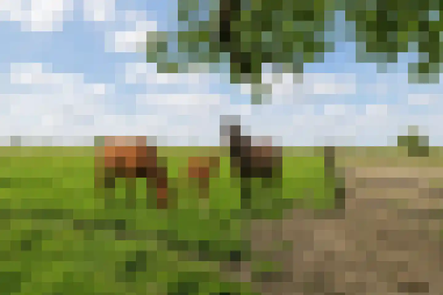 Heereweg 447 Lisse thumbnail 71