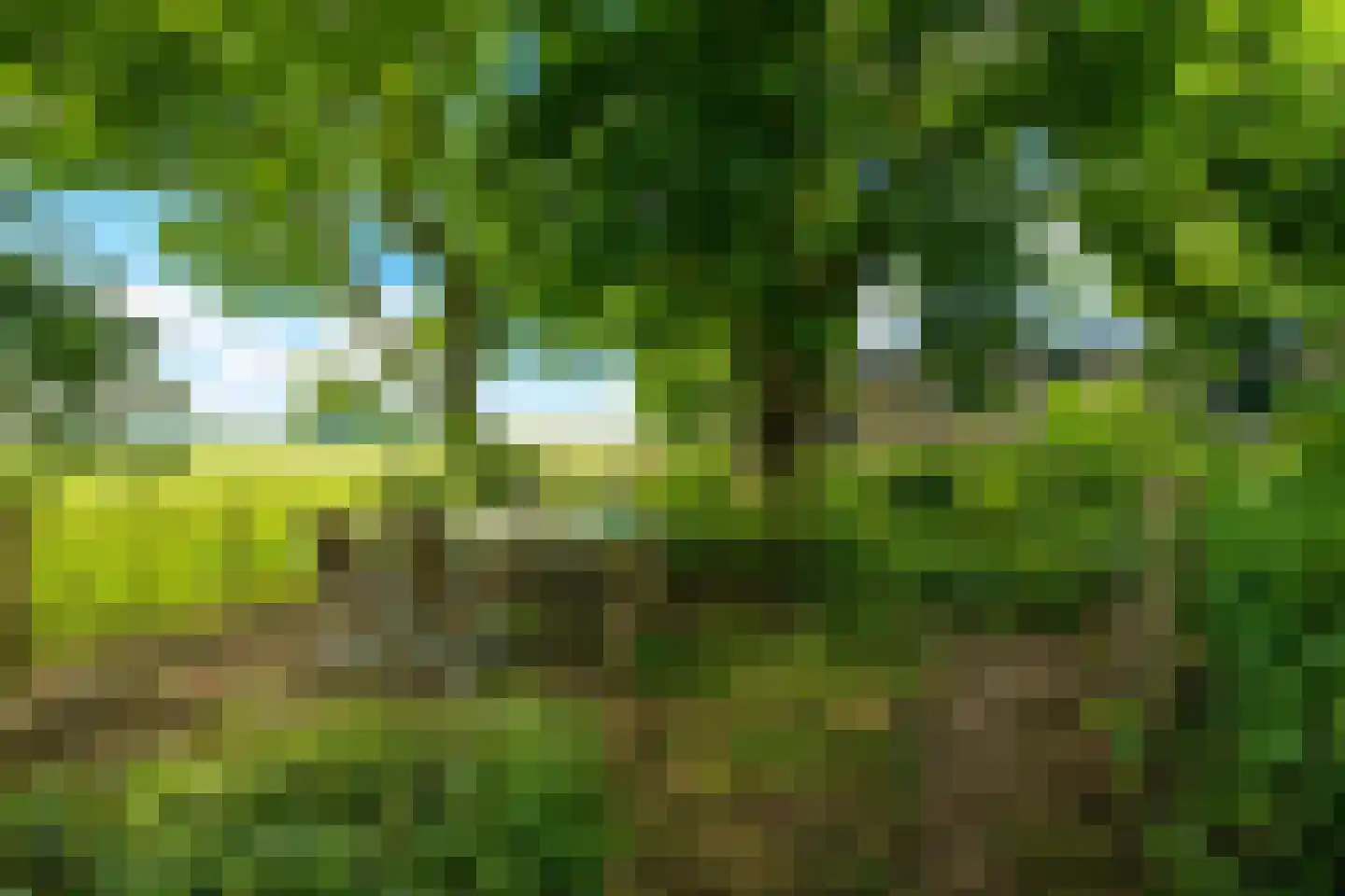Heereweg 447 Lisse thumbnail 73