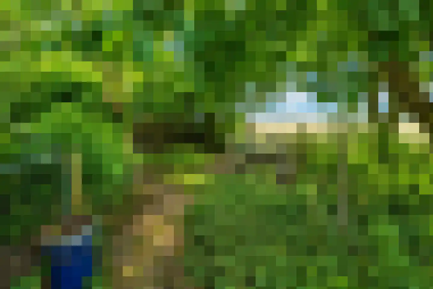 Heereweg 447 Lisse thumbnail 74