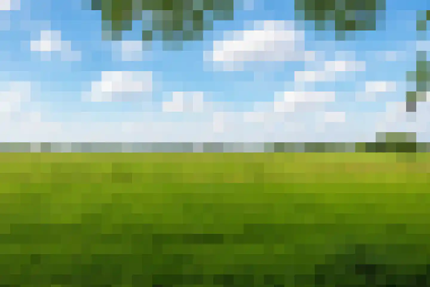 Heereweg 447 Lisse thumbnail 76