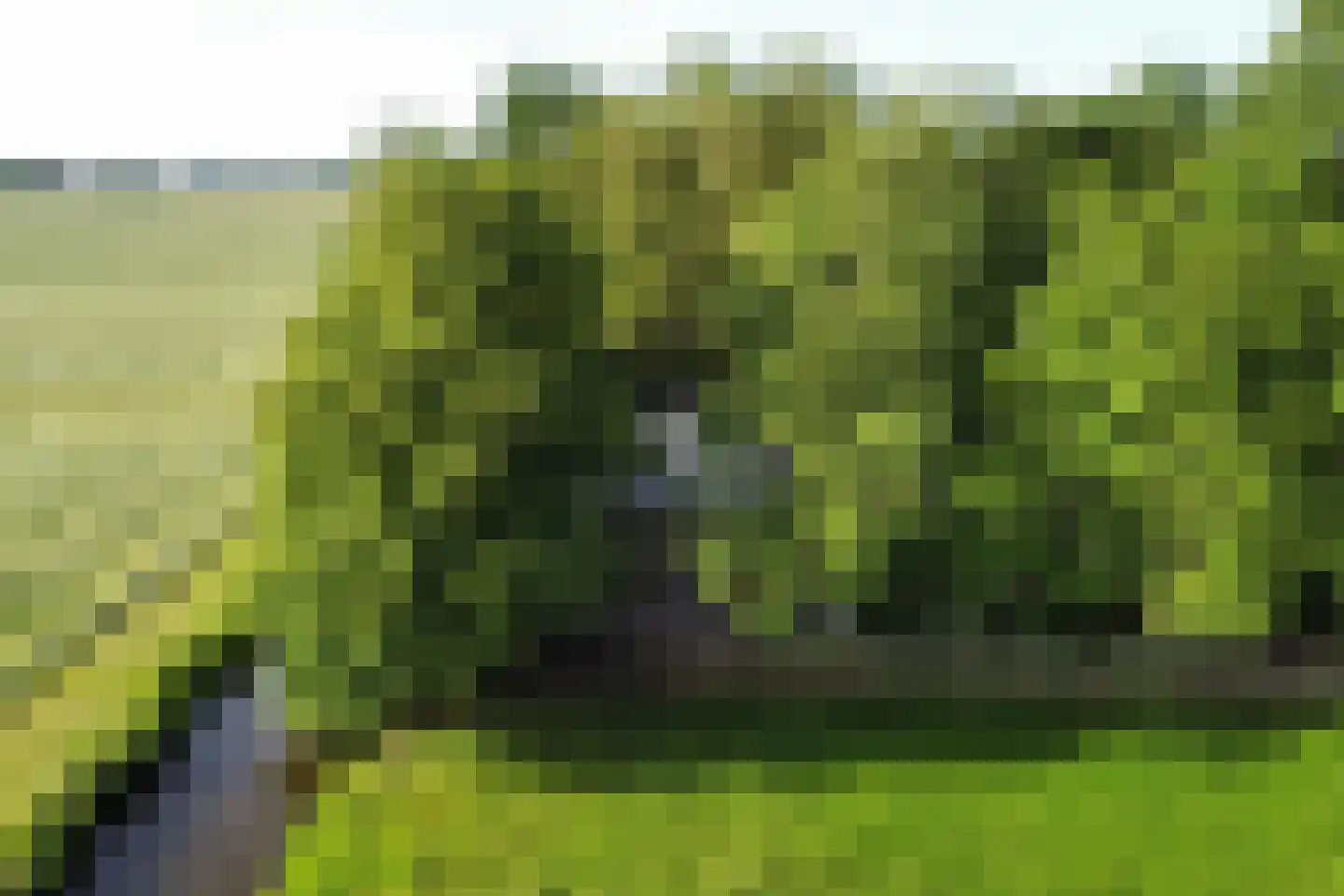 Heereweg 447 Lisse thumbnail 97
