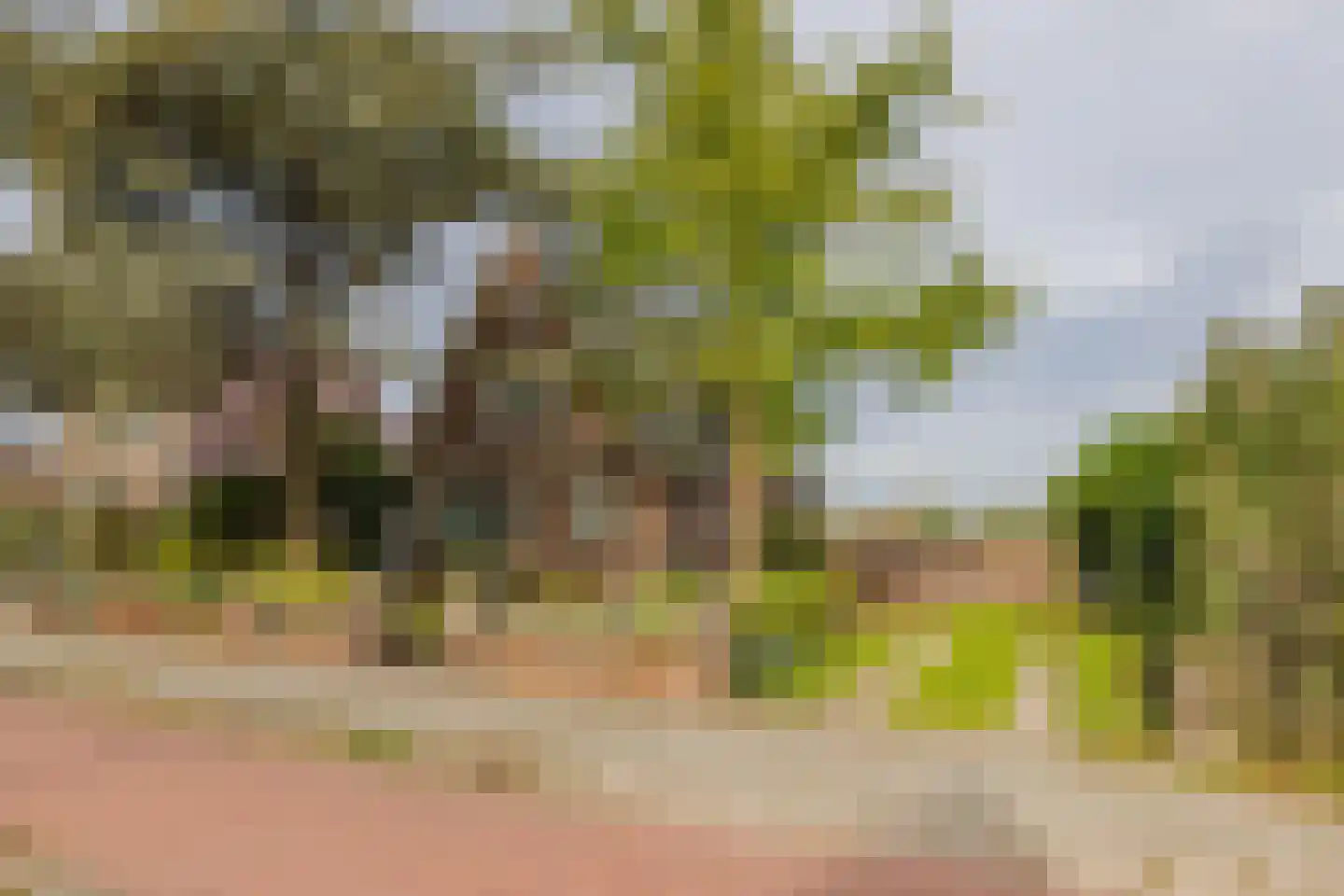 Heereweg 474 Lisse thumbnail 35