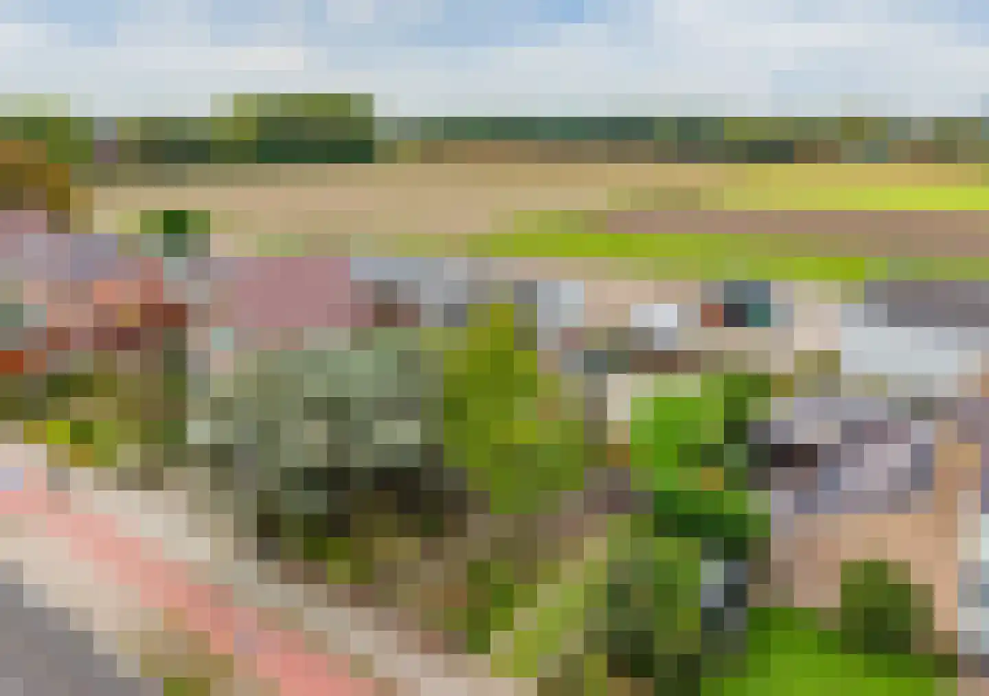 Heereweg 474 Lisse thumbnail 36