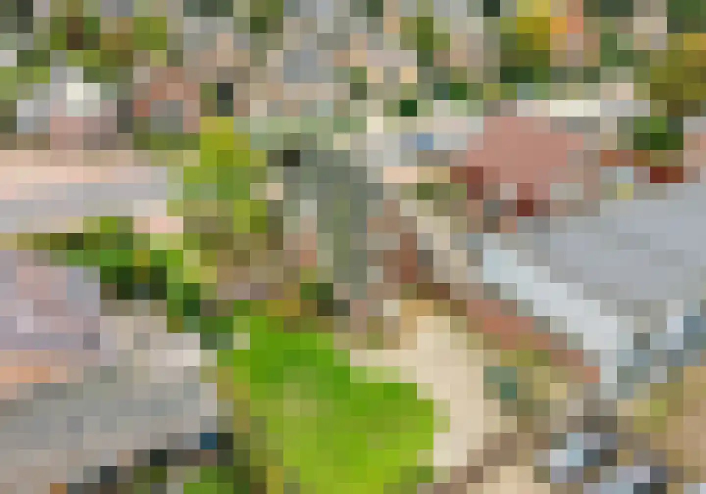 Heereweg 474 Lisse thumbnail 4