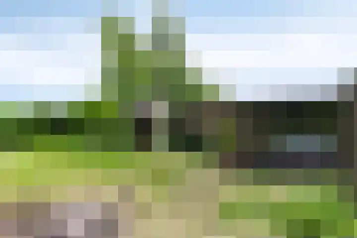 Heereweg 477 Lisse thumbnail 14