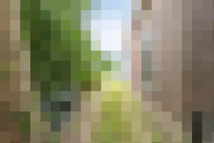 Heereweg 477 Lisse thumbnail 7