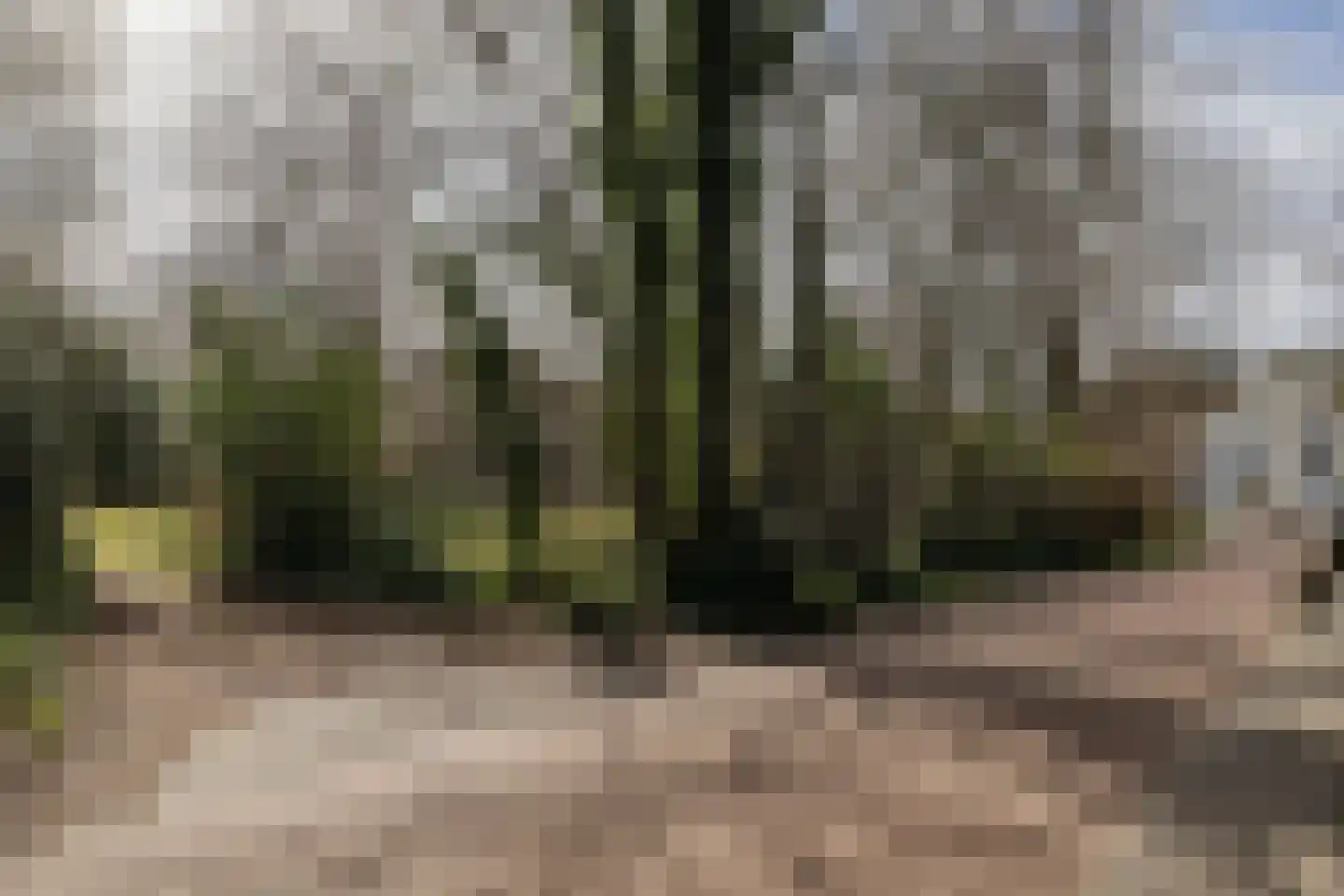 Heereweg 58 Schoorl thumbnail 17