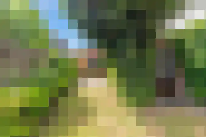 Heereweg 61 Castricum thumbnail 26
