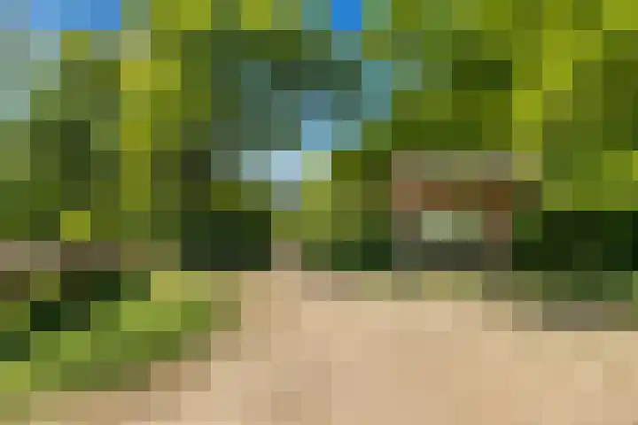 Heereweg 61 Castricum thumbnail 32
