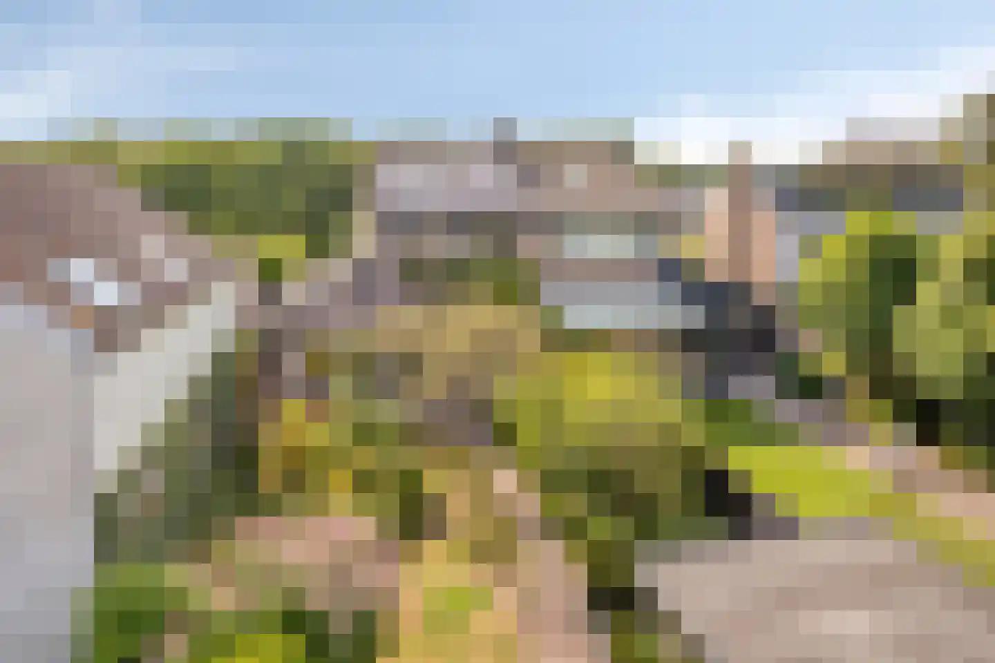 Heereweg 65 Castricum thumbnail 21