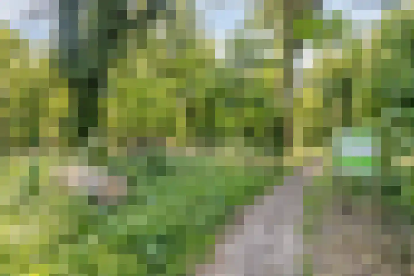 Heereweg 65 Castricum thumbnail 34