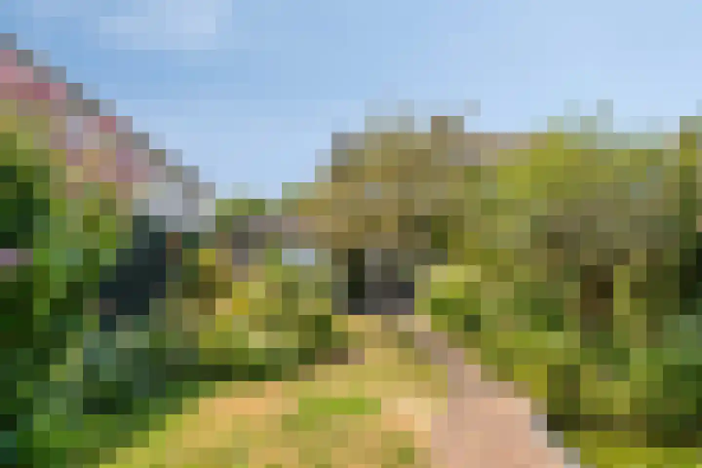 Heereweg 65 Castricum thumbnail 4
