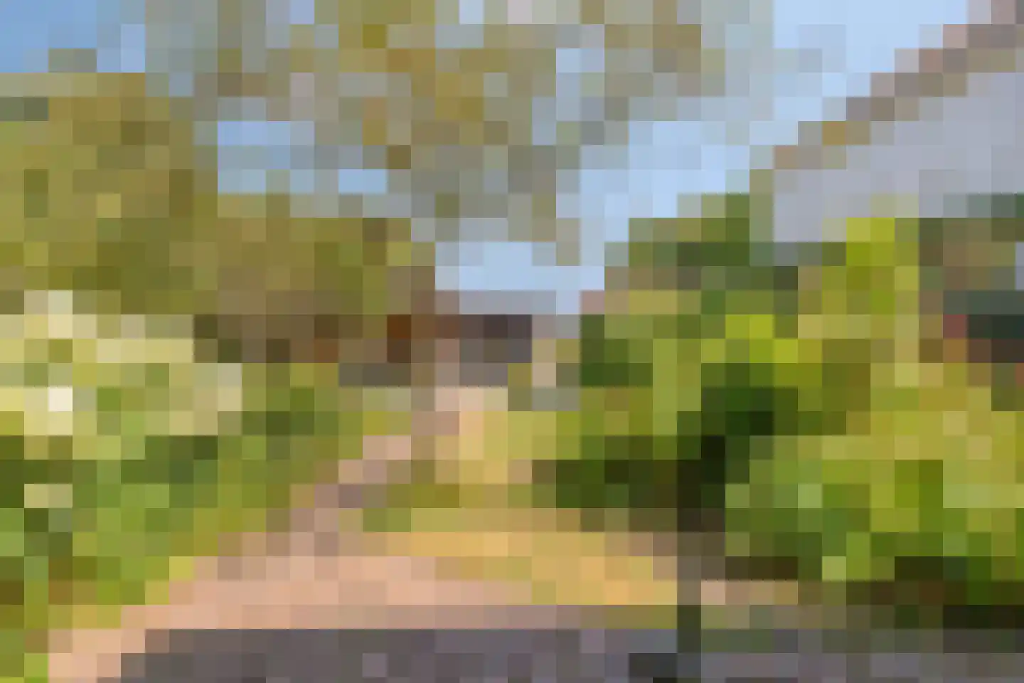 Heereweg 65 Castricum thumbnail 5